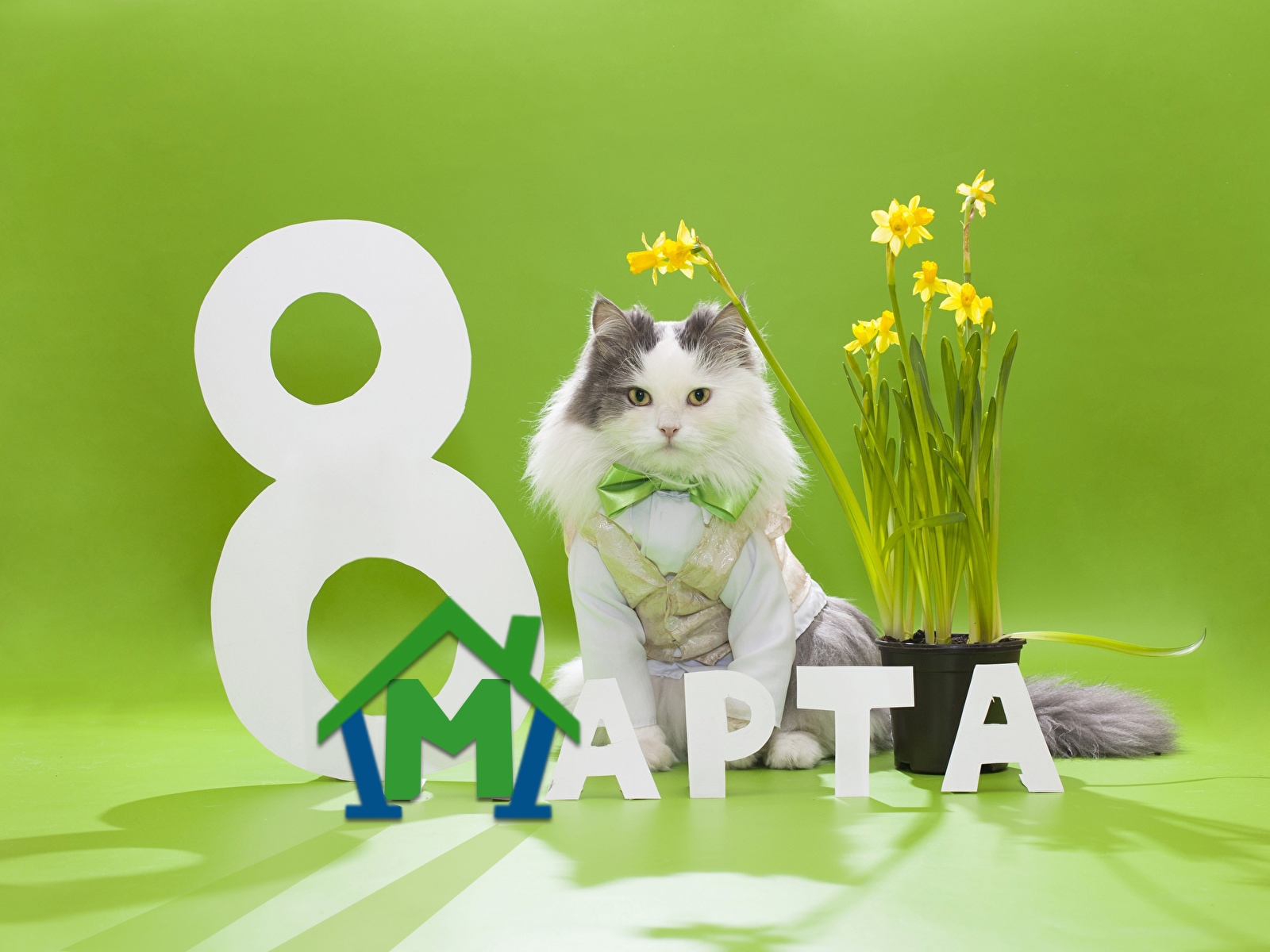 C 8 марта в 2025 году